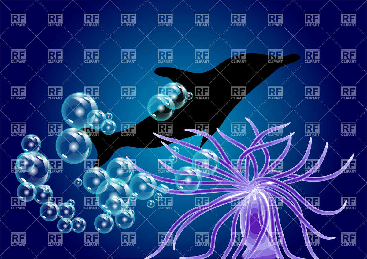 Silhouette Of Dolphin And Sea Anemone Underwater Vector Image 1200x849 Silhouette Of Dolphin And Sea Anemone Underwater Vector Image