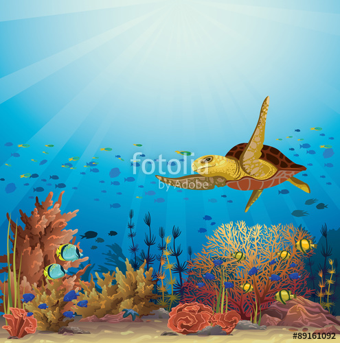 Turtle And Coral Reef Underwater Vector Stock Image And Royalty 495x500 Turtle And Coral Reef Underwater Vector Stock Image And Royalty