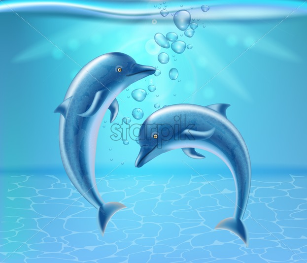 Dolphins Underwater Vector Realistic Beautiful Couple Dolphine 623x534 Dolphins Underwater Vector Realistic Beautiful Couple Dolphine