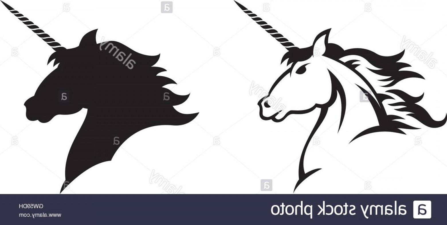 Unicorn Vector Mane Savoyuptown 1560x784 Unicorn Vector Mane Savoyuptown