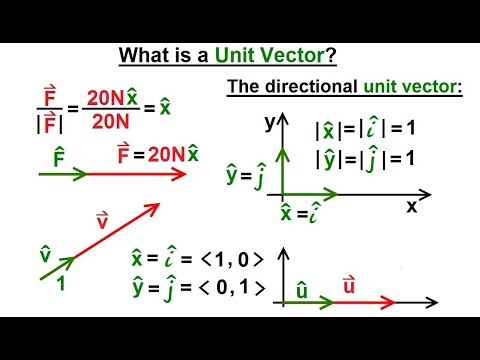 calculus vectorified