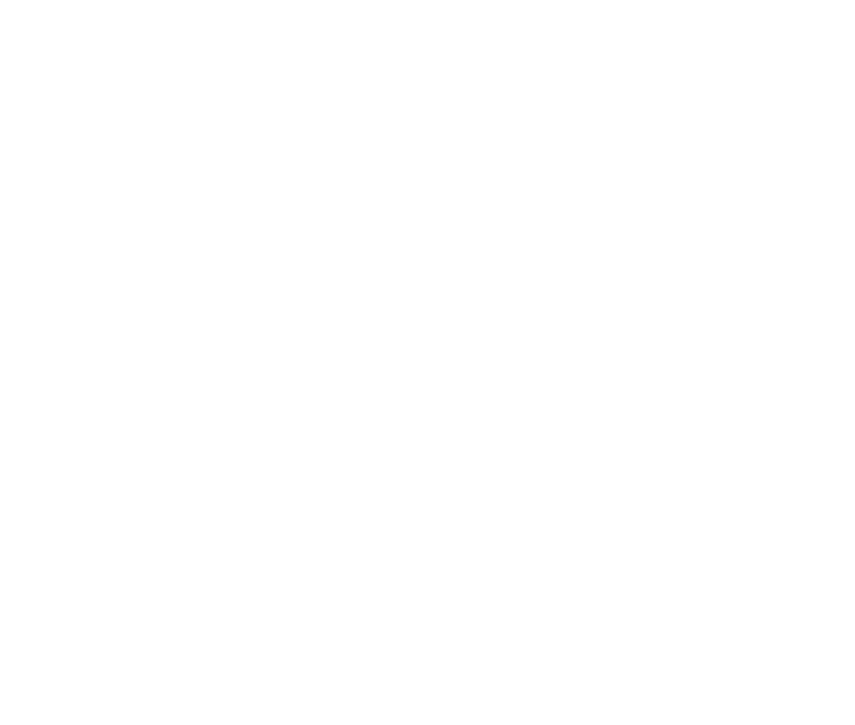 1207x1024 Un Logo White Capacity Development