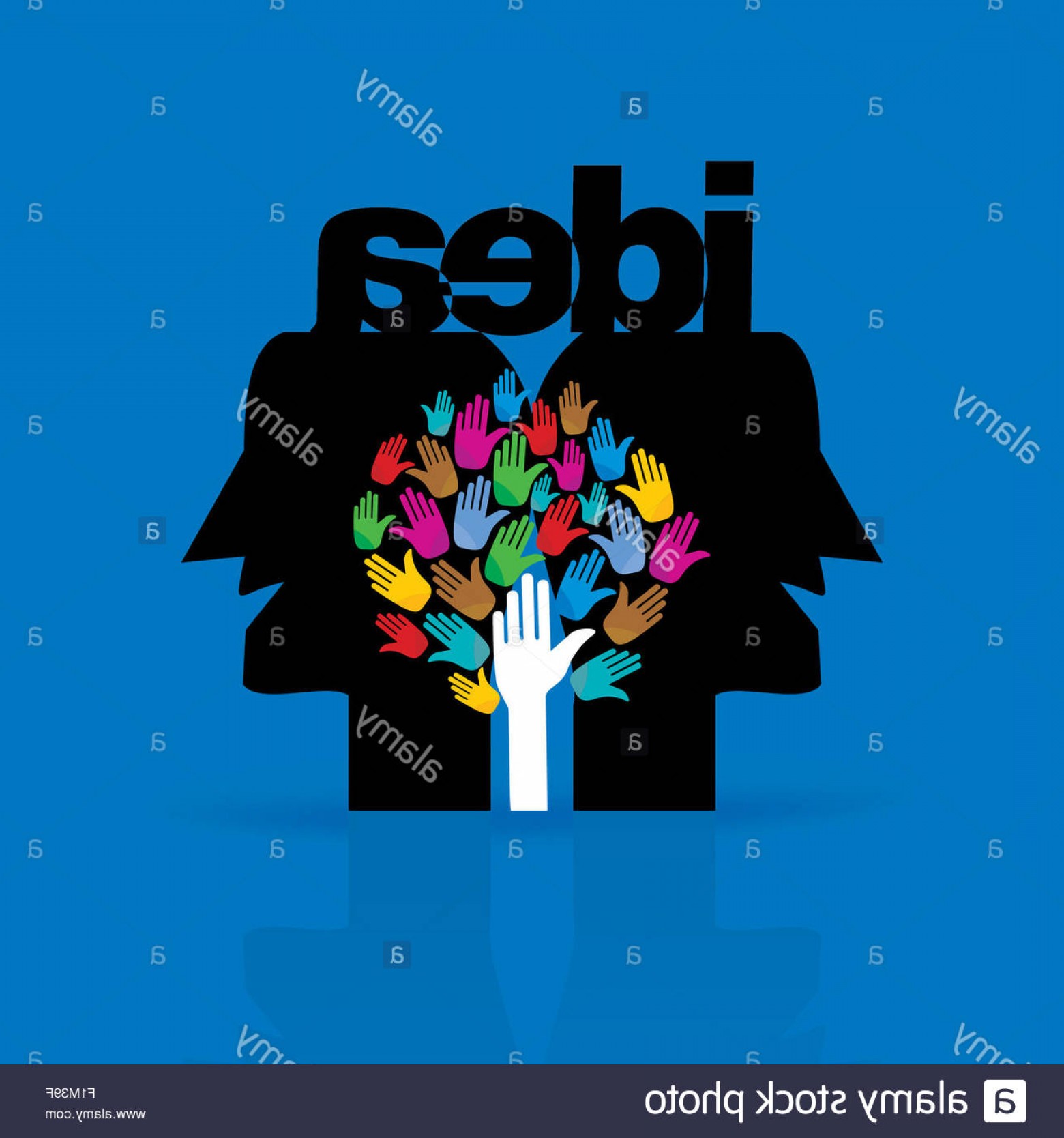 Unity Vector Graphics Soidergi 1560x1668 Unity Vector Graphics Soidergi