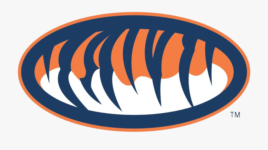 920x515 Auburn University Seal And Logos Vector Free Download