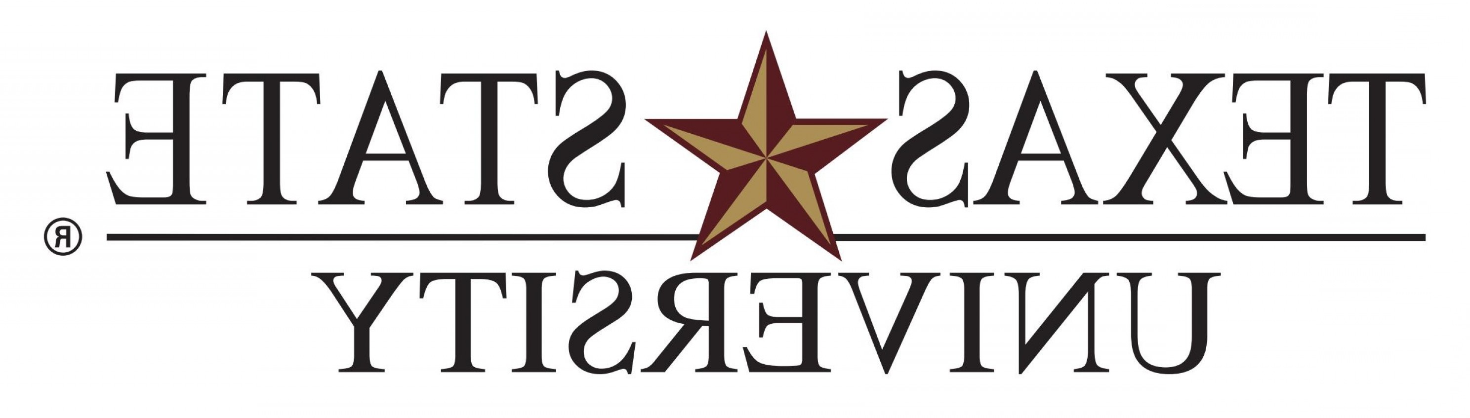 2976x847 Tsu Texas State University Armemblem Pdf Savoyuptown