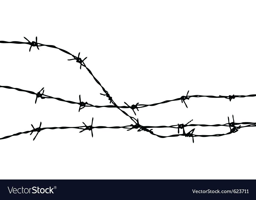 Barbed Wire Fence Barbed Wire How To Build Barbed Wire Fence 1000x780 Barbed Wire Fence Barbed Wire How To Build Barbed Wire Fence