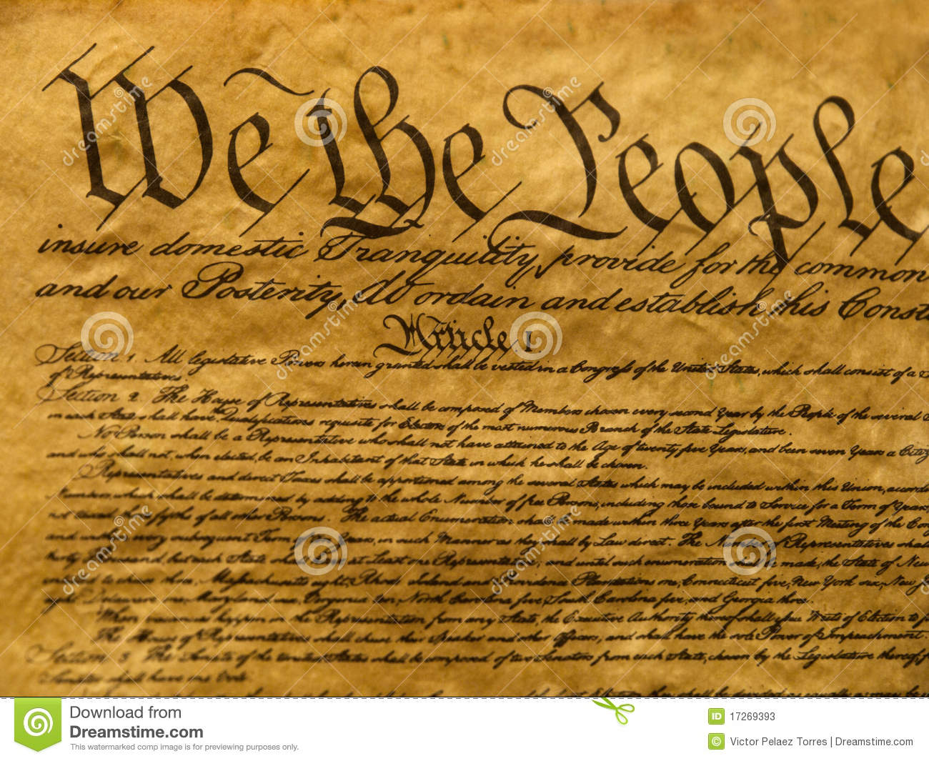 Download Constitution Vector at GetDrawings | Free download