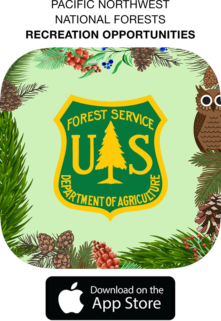 Us Forest Service Logo Vector At Vectorified.com | Collection Of Us ...