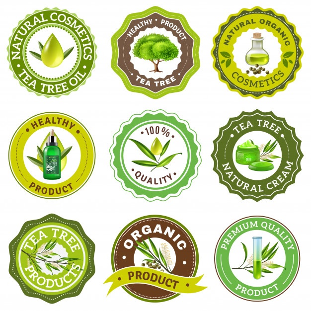 626x626 Tree Logo Vectors, Photos And Free Download