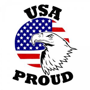 300x300 Usa Proud Eagle Patriotic Military Studiogrfx