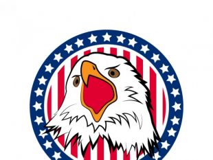 310x233 United States Eagle Vector Free Vectors Ui Download