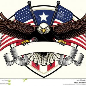300x300 Us Great Seal Bald Eagle Vector Hoodamathrun
