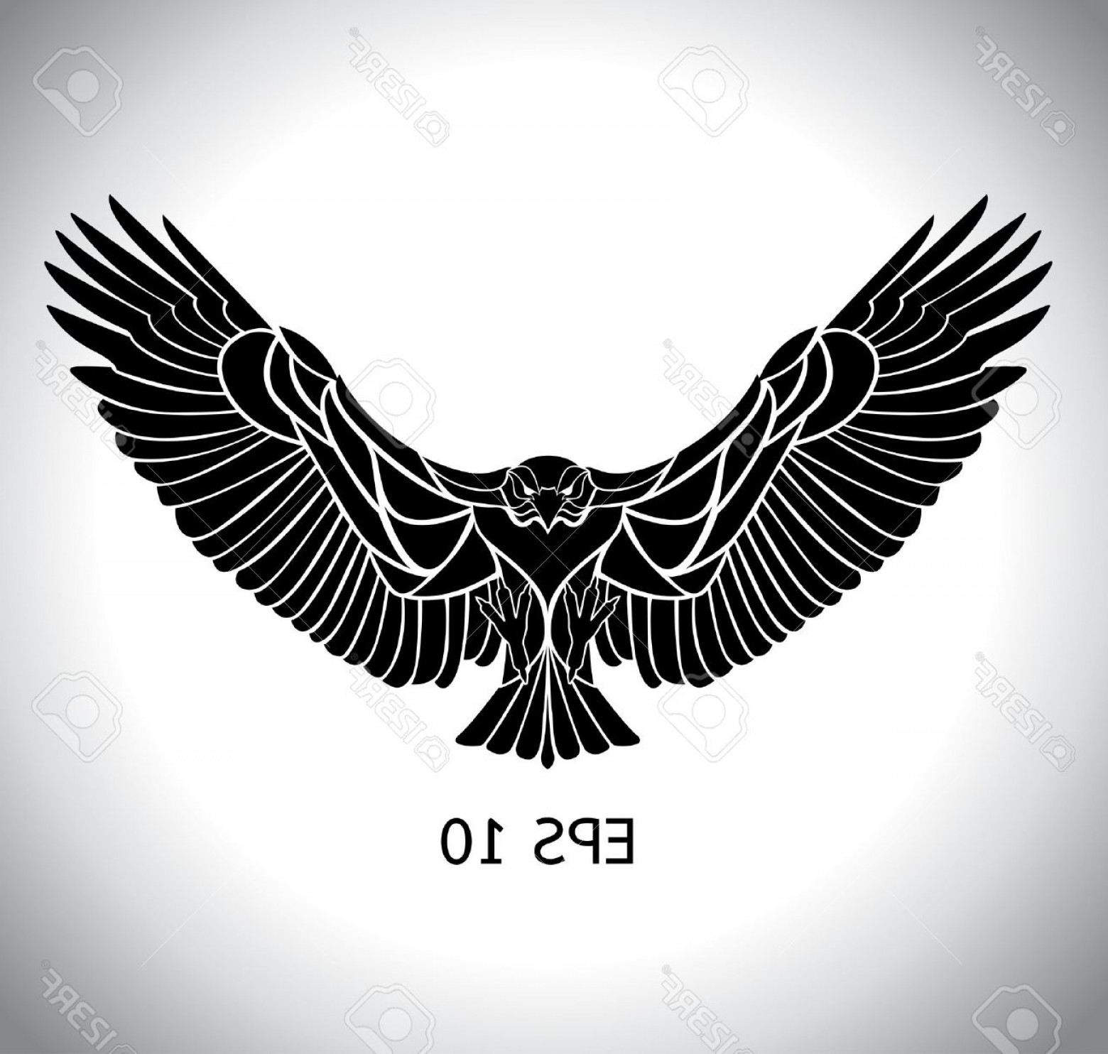 1560x1484 Vector Flying Eagle Usa Handandbeak