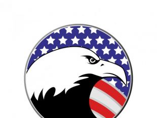 310x233 American Eagle And Usa Flag Free Vectors Ui Download