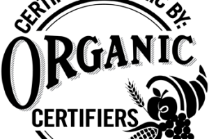 300x200 Usda Organic Vector Logo Logodesignfx