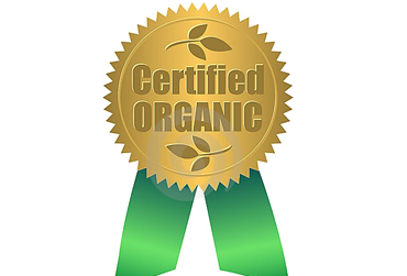 370x251 Welcome Aditicert Home Page