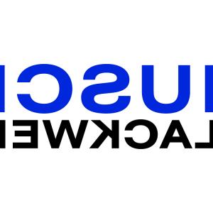 300x300 Fast Arrow Logo Vector Template Handandbeak