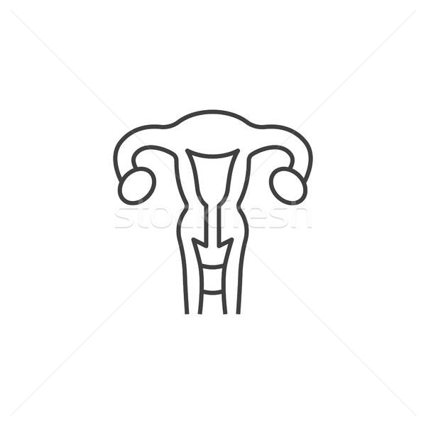 600x600 Uterus Stock Photos, Stock Images And Vectors Stockfresh