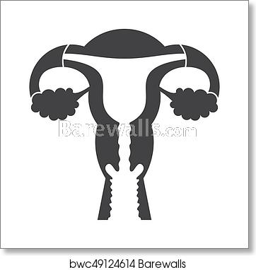 362x382 Uterus Vector Icon, Art Print Barewalls Posters Prints