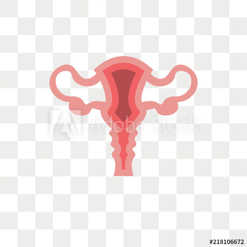 Uterus Vector at Vectorified.com | Collection of Uterus Vector free for ...