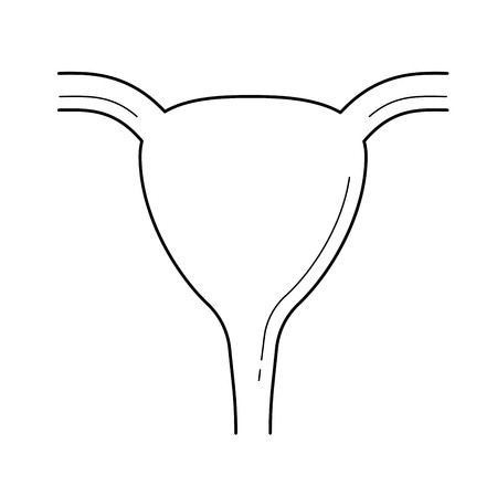 450x450 Uterus Vector Line Icon Isolated On White Background Urinary