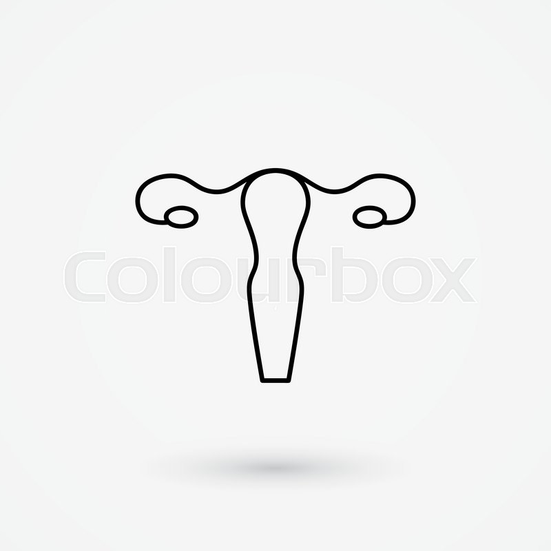 800x800 Vector Uterus Outline Healthcare Stock Vector Colourbox