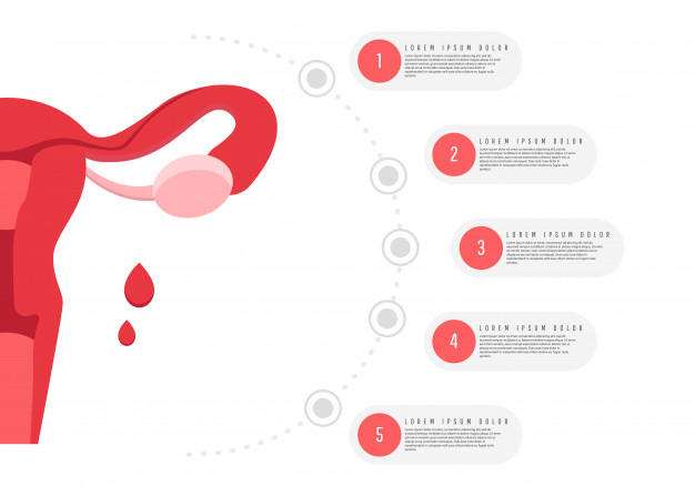 626x447 Woman Reproductive Health With Uterus Vector Premium Download