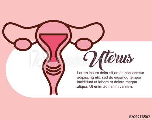 Pregnancy Fertilization Female Reproductive Uterus Vector 500x393 Pregnancy Fertilization Female Reproductive Uterus Vector