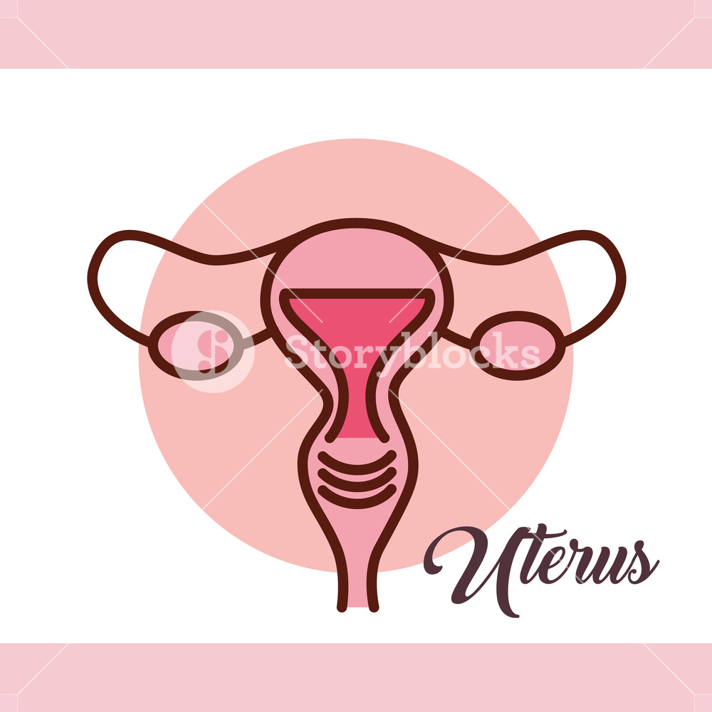 Download Uterus Vector at Vectorified.com | Collection of Uterus ...