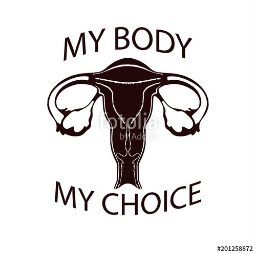 500x497 Women's Uterus Vector Illustration Stock Image And Royalty Free