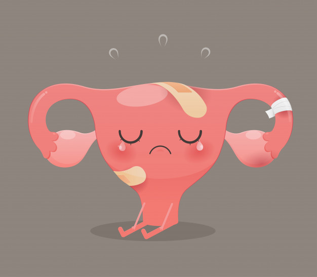 Uterus Vector at Vectorified.com | Collection of Uterus Vector free for ...