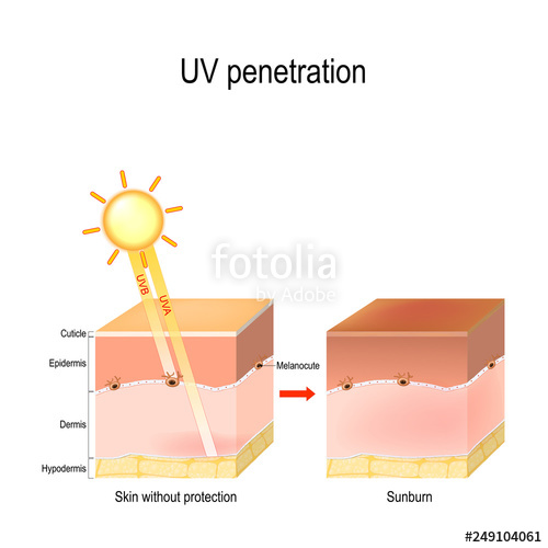Uv Penetration Stock Image And Royalty Free Vector 500x500 Uv Penetration Stock Image And Royalty Free Vector