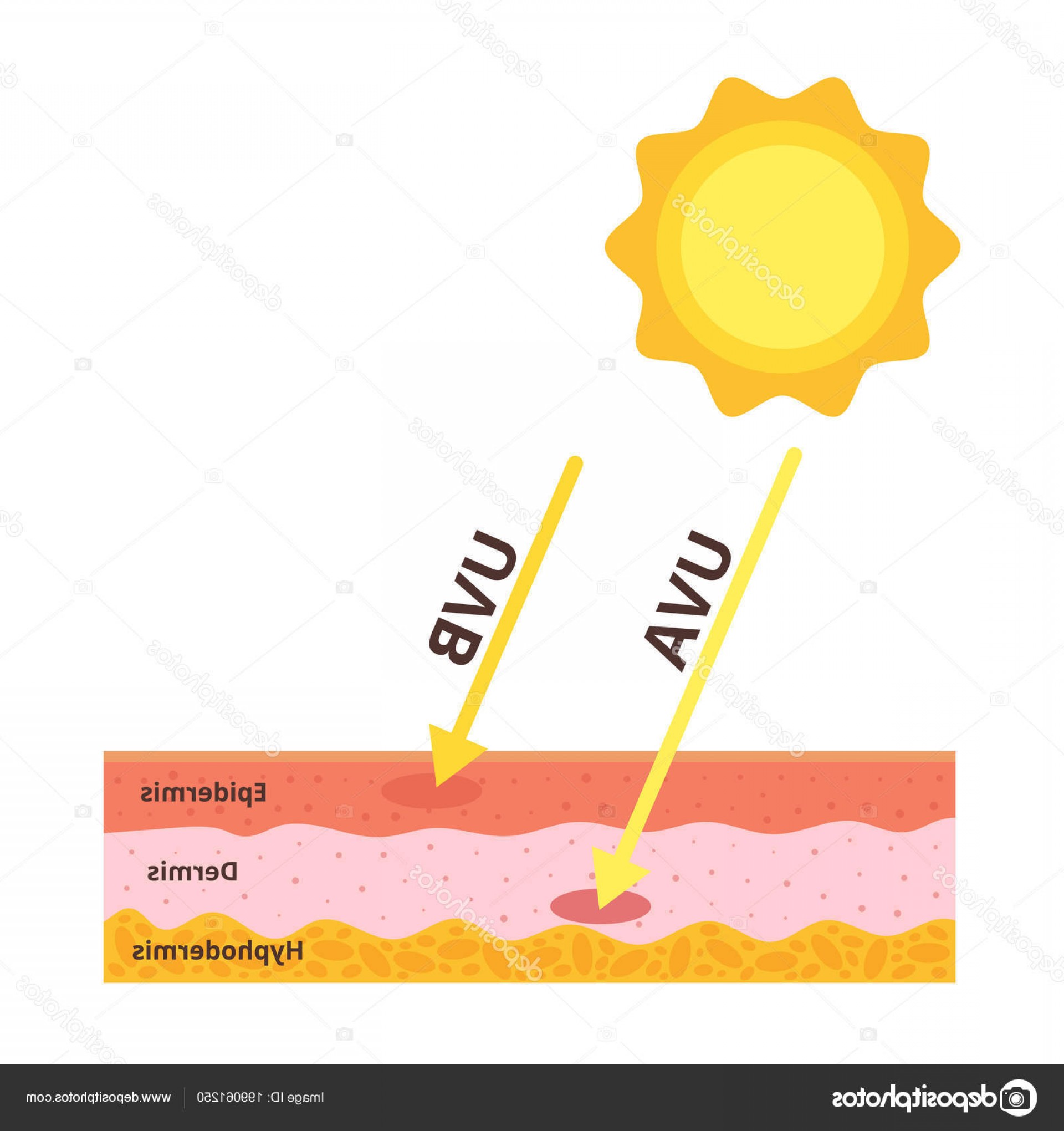 1920x2040 Stock Illustration Uva And Uvb Protection Concept Soidergi