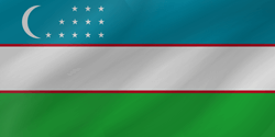 250x125 Uzbekistan Flag Vector