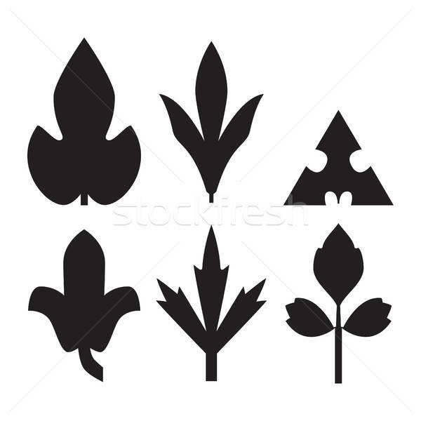 600x600 Decorative Black Leaves Pattern Set Isolated On White Vector Va