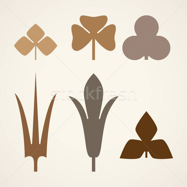 600x600 Decorative Brown Leaves Pattern Set Isolated On White Vector Va