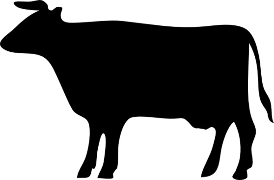 558x368 Vaca Vector Free Download Free Vector Download