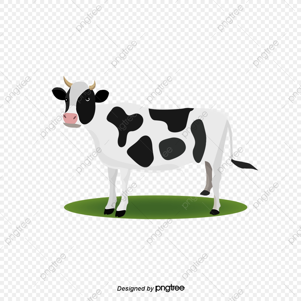 1200x1200 Vector Cows, Dairy Cow, Cartoon Cow, Animal Png And Vector