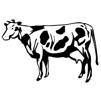 332x332 Vector De Vaca