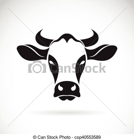 450x470 Fondo Cabeza, Vector, Blanco, Vaca