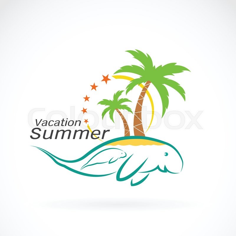800x800 Vector Image Of An Coconut Palms On Stock Vector Colourbox