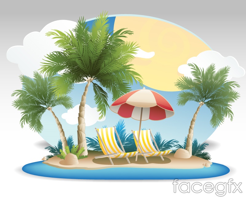 800x640 Coconut Summer Vacation Vector Background Over Millions Vectors