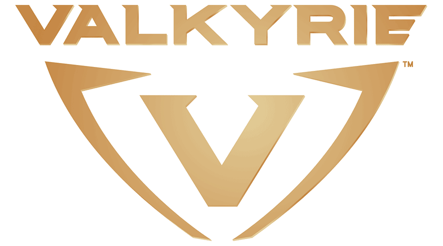900x500 Valkyrie Vector Logo