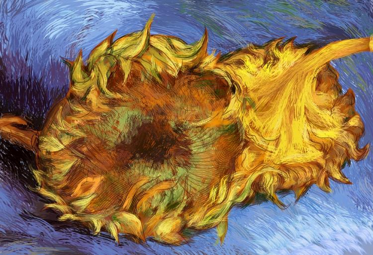 750x514 Van Gogh Sunflowers