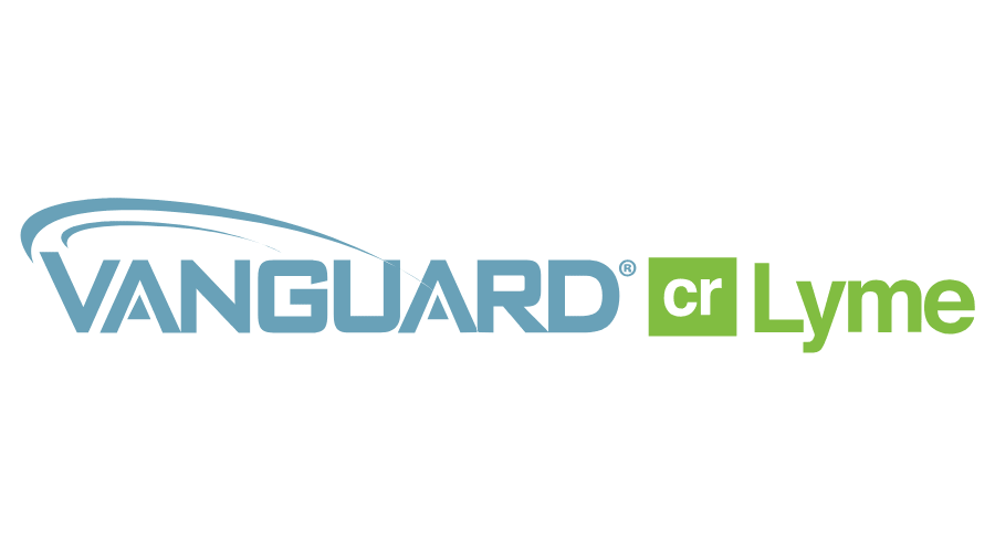 900x500 Vanguard Crlyme Logo Vector