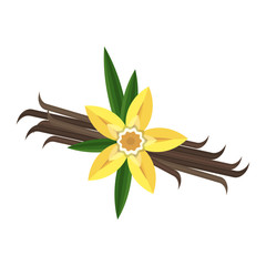 Vanilla Bean Cartoon Photos, Royalty Free Images, Graphics 240x240 Vanilla Bean Cartoon Photos, Royalty Free Images, Graphics