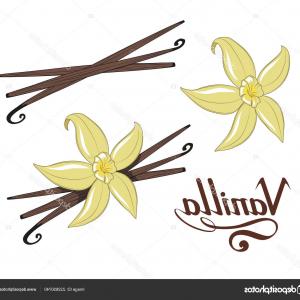 Vanilla Flower Isolated Icon Vector Catchsplace 300x300 Vanilla Flower Isolated Icon Vector Catchsplace