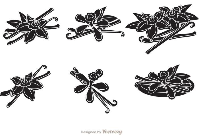 Vanilla Flower Silhouette Vectors 700x490 Vanilla Flower Silhouette Vectors