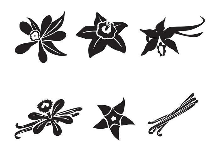 Vanilla Free Vector Art 700x490 Vanilla Free Vector Art