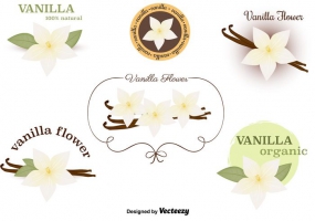 Vanilla Bean Free Vector Graphic Art Free Download 285x200 Vanilla Bean Free Vector Graphic Art Free Download